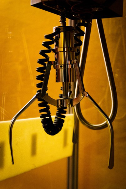 9l3B_Z1oyvw Секреты цирка